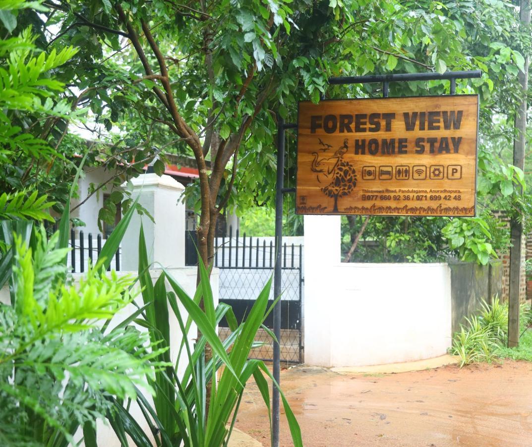 Forest View Home Stay 阿努拉德普勒 外观 照片