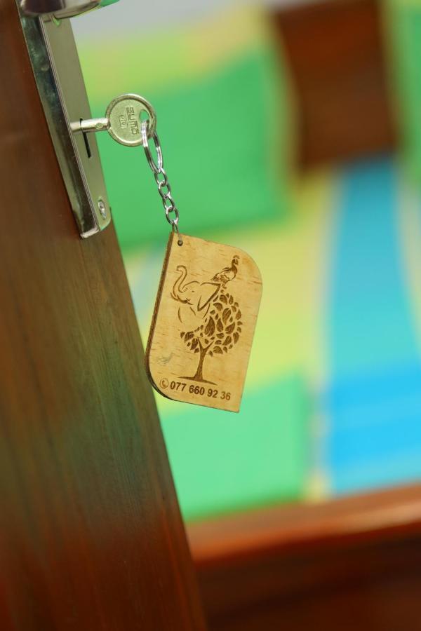 Forest View Home Stay 阿努拉德普勒 外观 照片